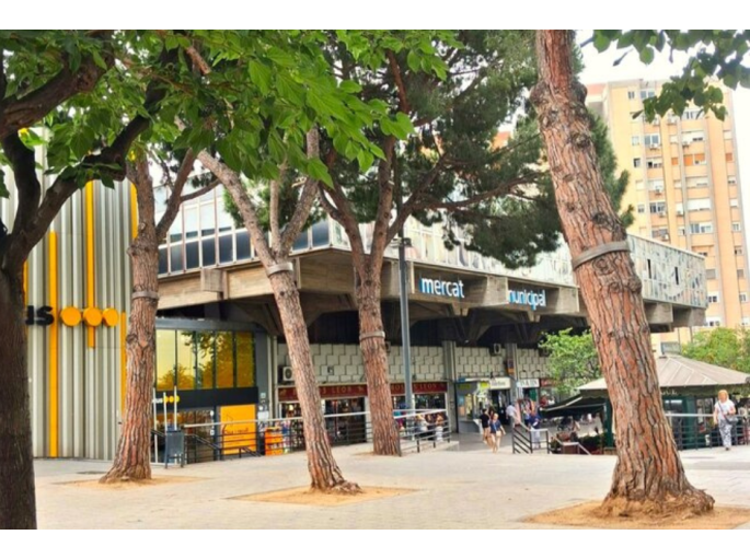cornellà mercat_1782996132.png