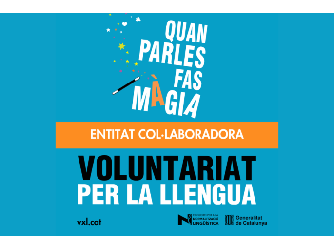 entitatvxl_1781512744.png