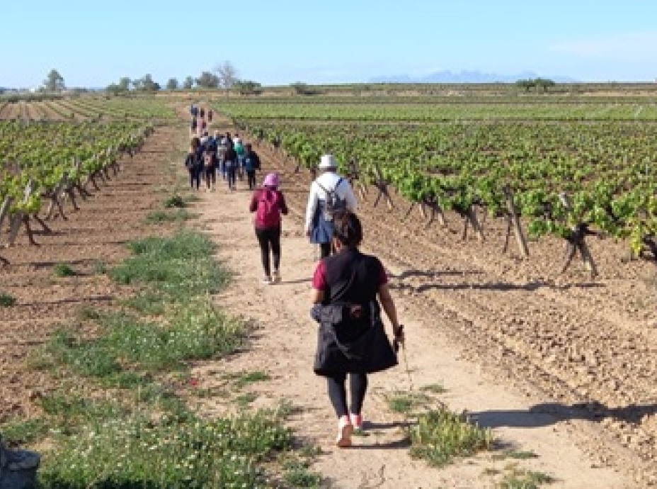 20240424_Passejada parlada_VxL i cursos_VP_14_1714469147.jpg