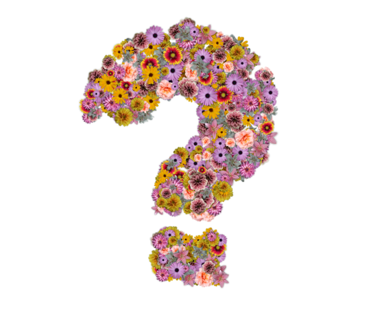 question_mark_g9d421d20a_1280_1685001972_w550_1779265717.png