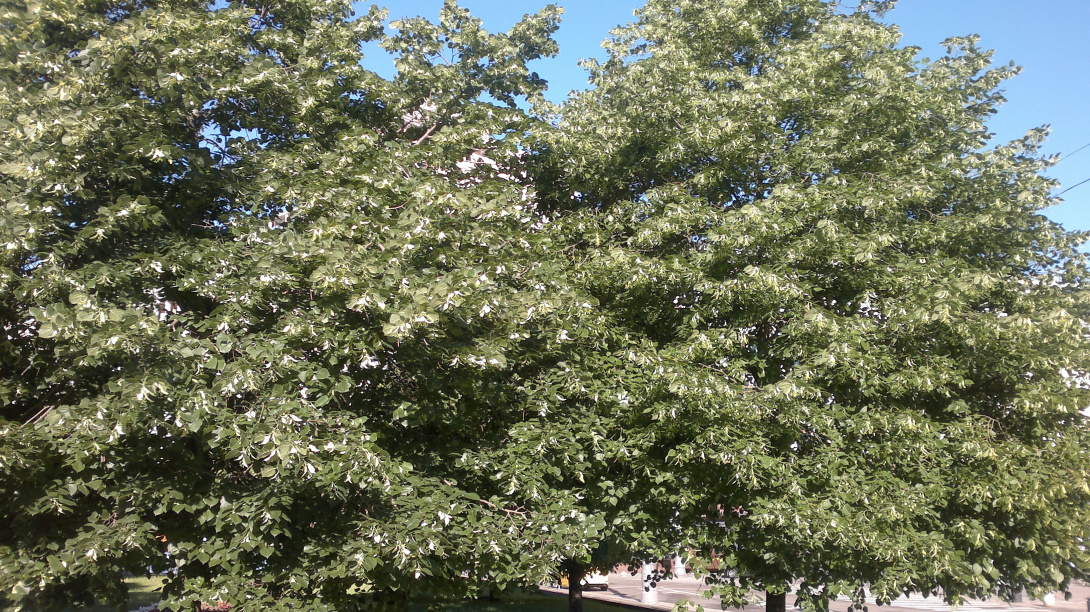050620152920.jpg