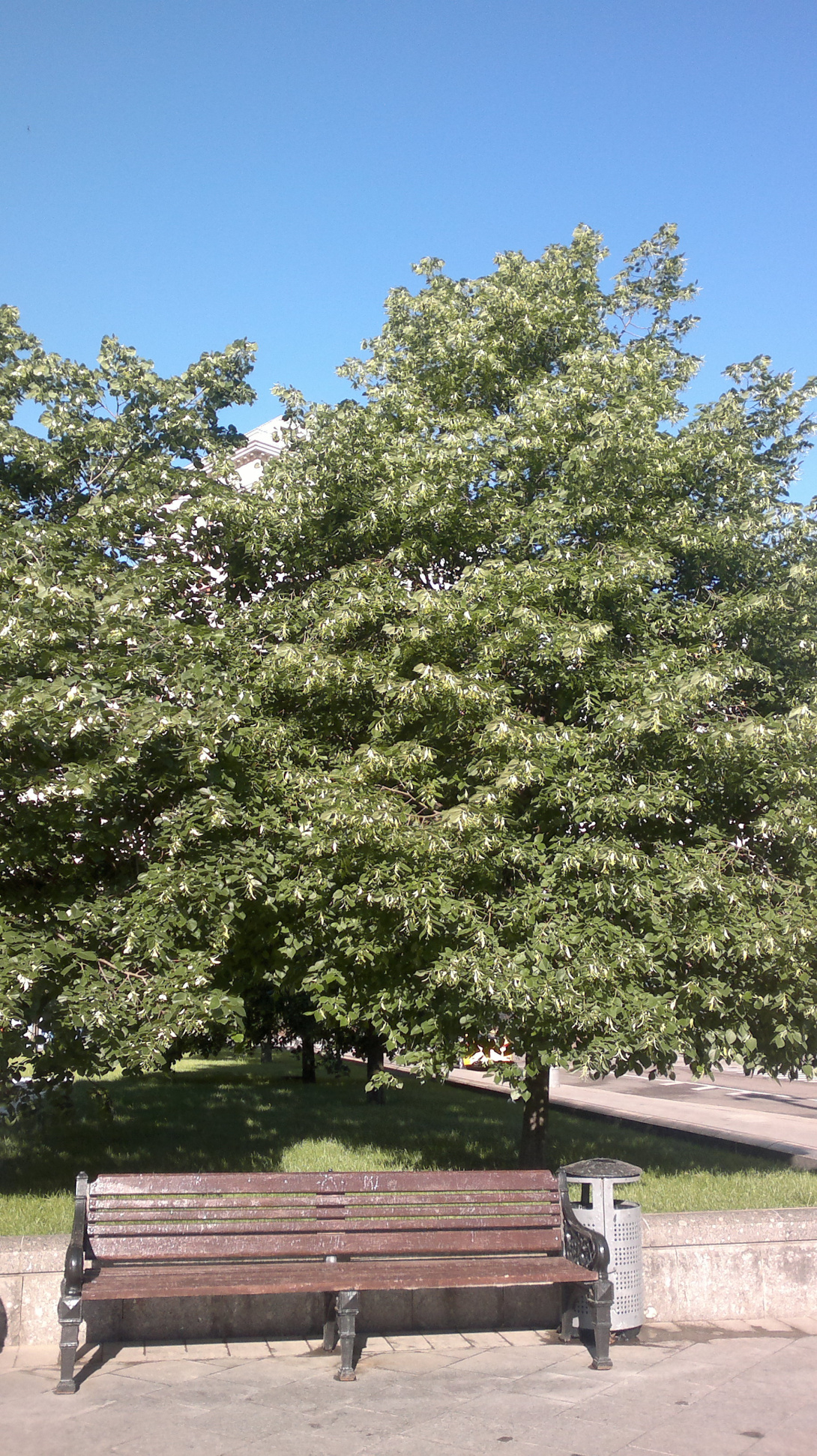 050620152921.jpg