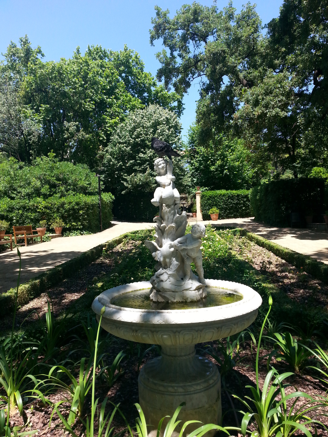 20150528_130201.jpg
