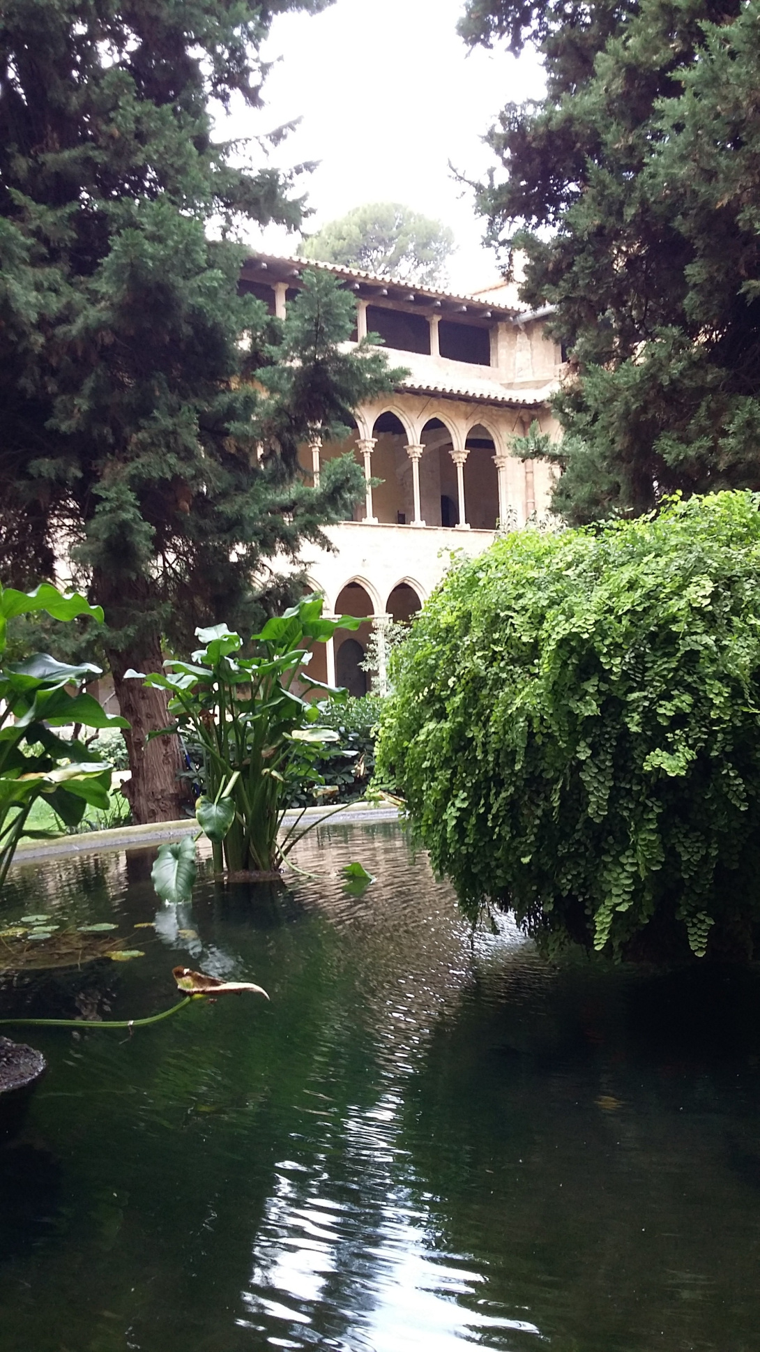 20151018_155751.jpg