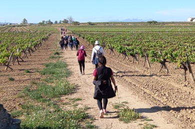 20240424_Passejada parlada_VxL i cursos_VP_14_1714469147.jpg