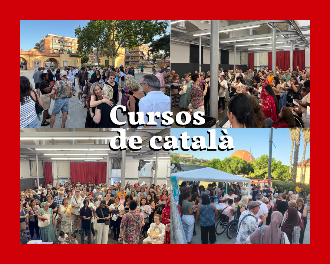 Còpia de Plantilla imatge notícia_1782124201.png