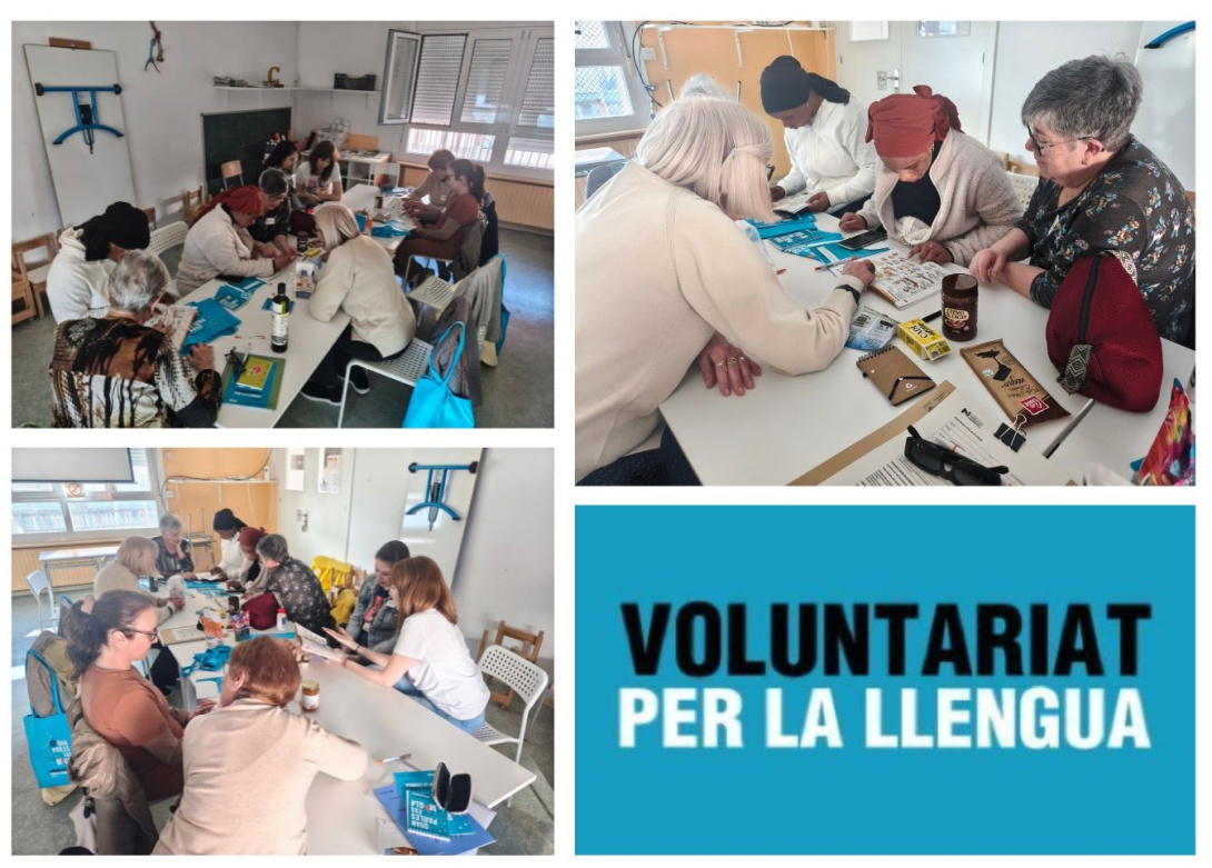 Foto collage _1773650125.jpg