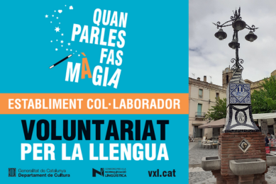 Mollet_establiments_VXL_1714483123.png