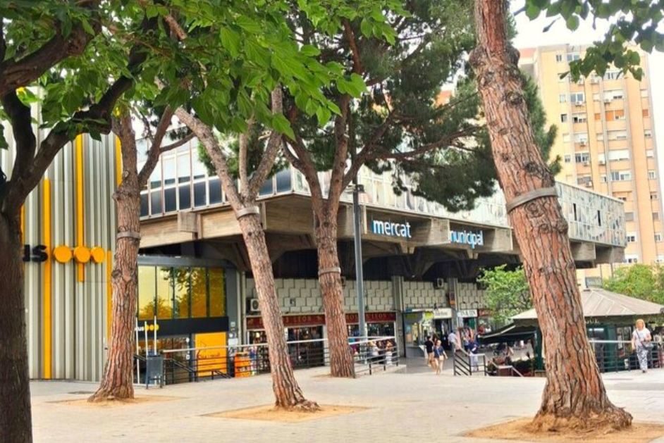 cornellà mercat_1782996132.png