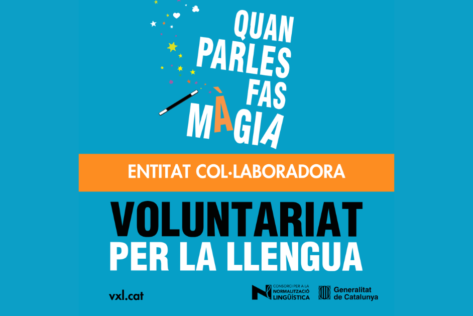entitatVxL_1778754745.png