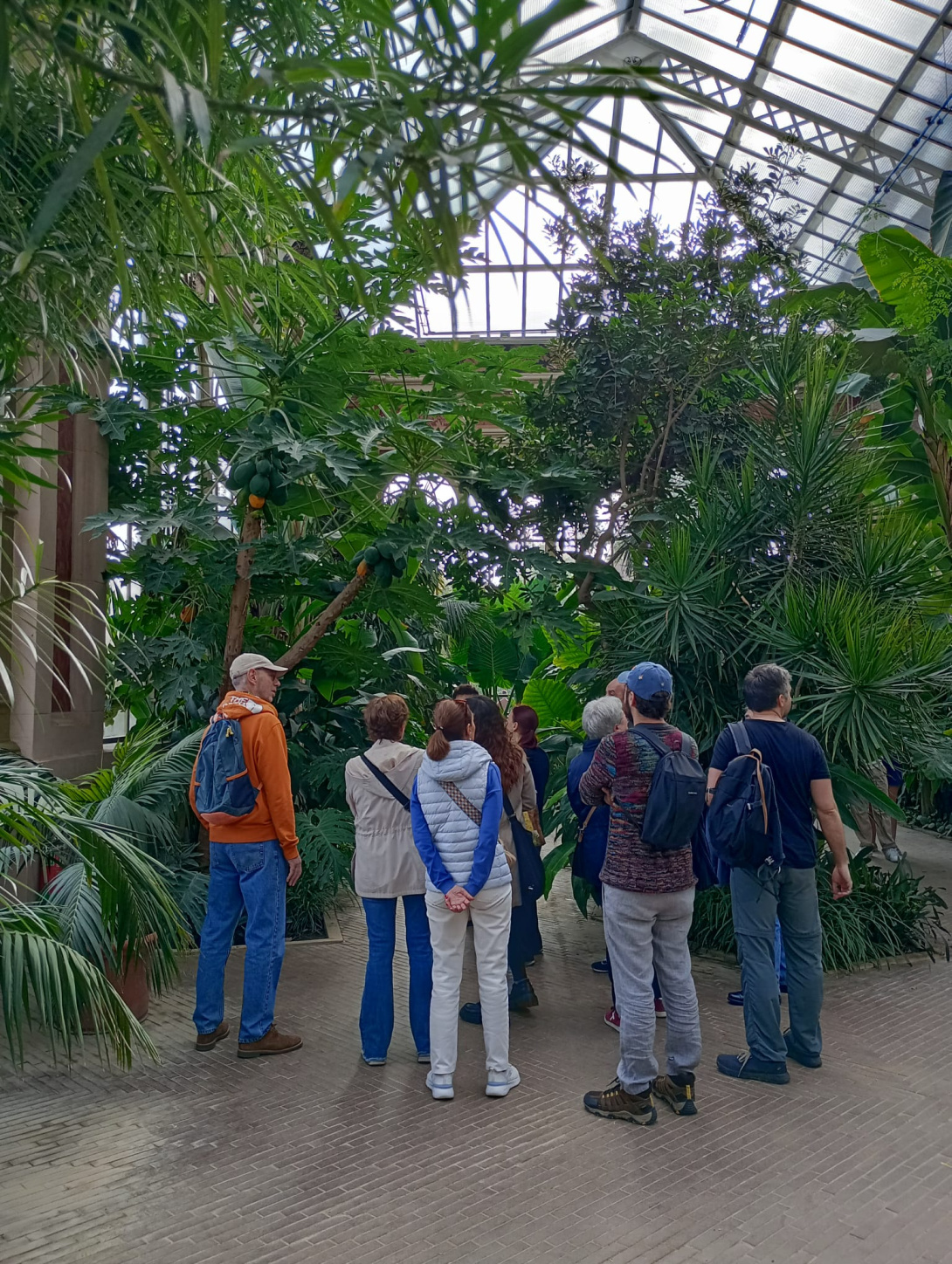 image (4)_1763027864.png