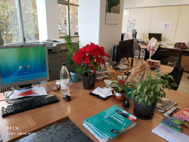 plantes.jpg